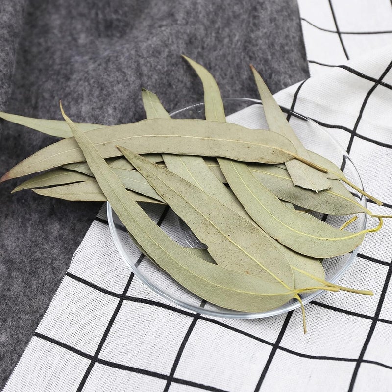 FullChea Dried Eucalyptus Leaves - 4oz - Image 3